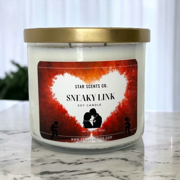 Sneaky Link 17oz